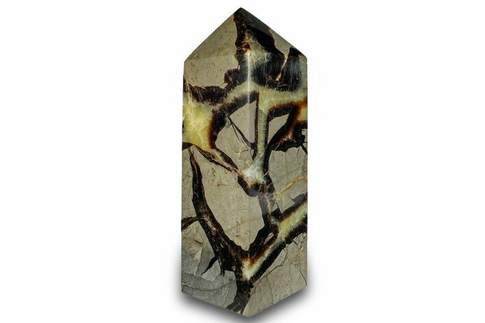 Polished Septarian Obelisk - Madagascar #260521